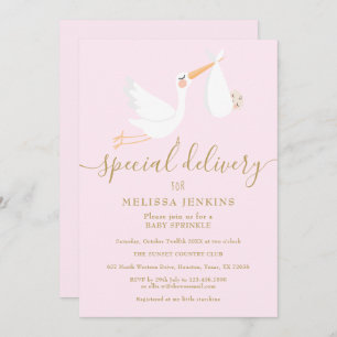 A Special Delivery Stork Baby Shower / Sprinkle Invitation