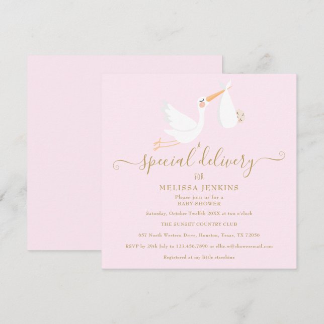 A Special Delivery Stork Baby Shower / Sprinkle Invitation (Front/Back)