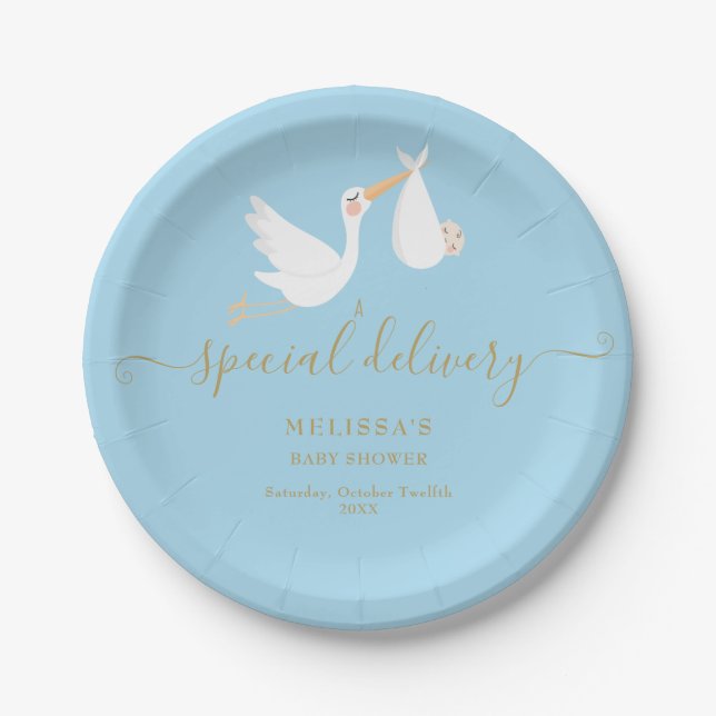 A Special Delivery Stork Baby Shower / Sprinkle Paper Plate (Front)