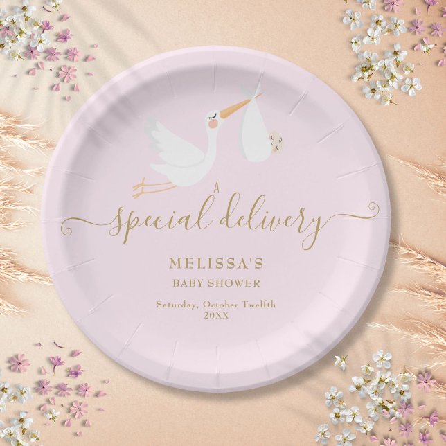 A Special Delivery Stork Baby Shower Sprinkle Paper Plate (A Special Delivery Stork Baby Shower Sprinkle Paper Plates)