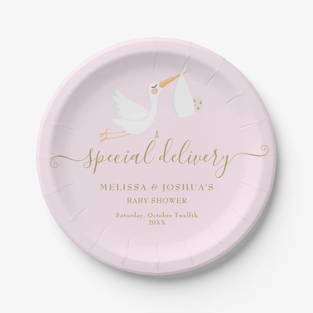 A Special Delivery Stork Baby Shower/Sprinkle Paper Plate (Front)
