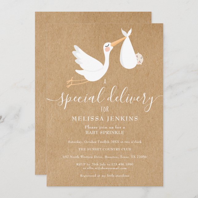 A Special Delivery Stork Baby Sprinkle / Shower Invitation (Front/Back)