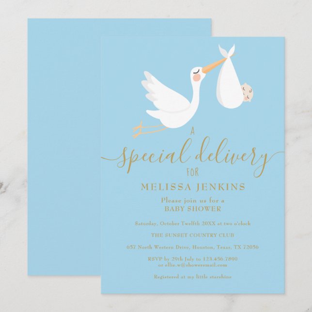 A Special Delivery Stork Baby Sprinkle / Shower Invitation (Front/Back)
