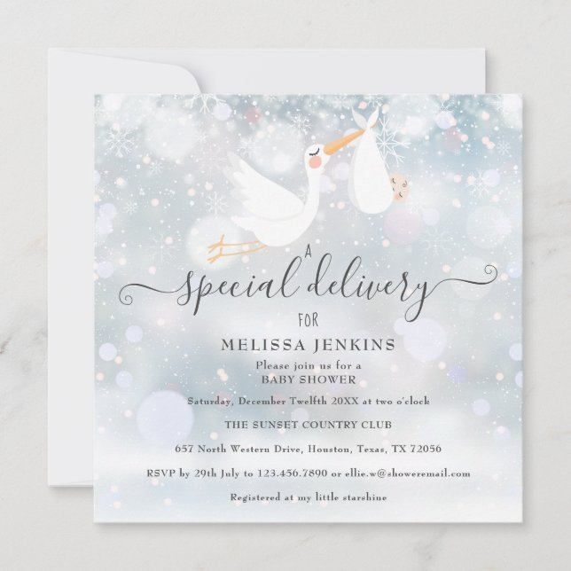A Special Delivery Stork Winter Baby Shower Invitation (Front)