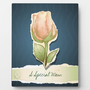 A special mom, plaque