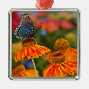 A Spicebush Swallowtail, Papilio troilus Metal Tree Decoration