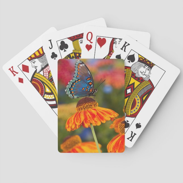 A Spicebush Swallowtail, Papilio troilus Playing Cards (Back)
