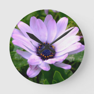 A Spiders Center Round Clock