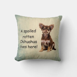 A Spoiled Rotten Chihuahua Dog Lives here Cushion