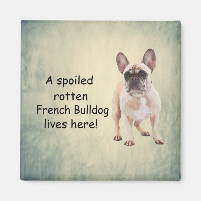 A Spoiled Rotten French Bulldog Lives here Magnet (Front)