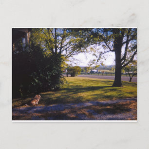 A spot of pastoral beauty in Brentwood, Tennessee Postcard