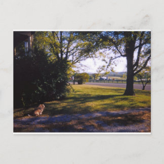 A spot of pastoral beauty in Brentwood, Tennessee Postcard
