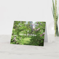 A Spring Birthday-lilac bushes