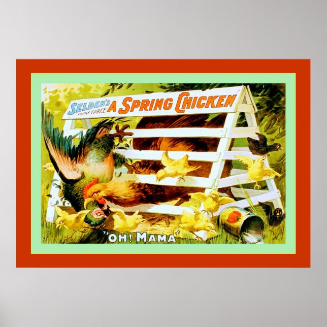 A Spring Chicken Poster (Front)