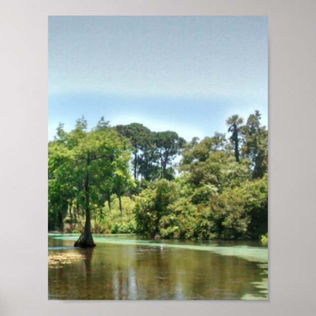 A Spring River in Weeki Wachee Florida Poster (Front)