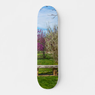 A Spring Season Seat Skateboard