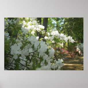 A Spring Walk Poster