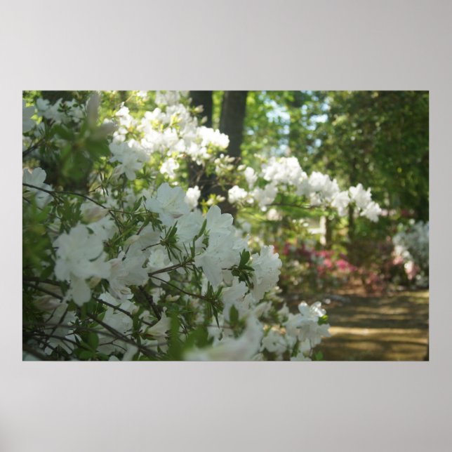 A Spring Walk Poster (Front)