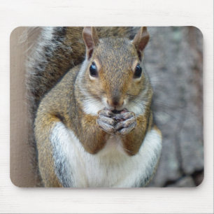 A Squirrel Enjoying a Treat Mouse Mat