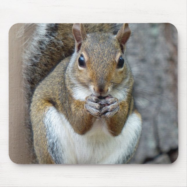 A Squirrel Enjoying a Treat Mouse Mat (Front)