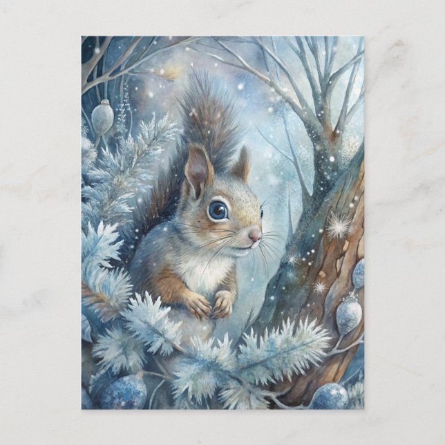A Squirrel in Winter Postcard (Front)