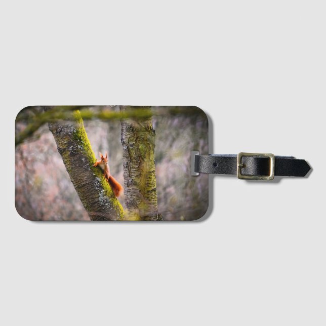 A squirrel     luggage tag (Front Horizontal)