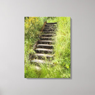 A stairway in the grass canvas print