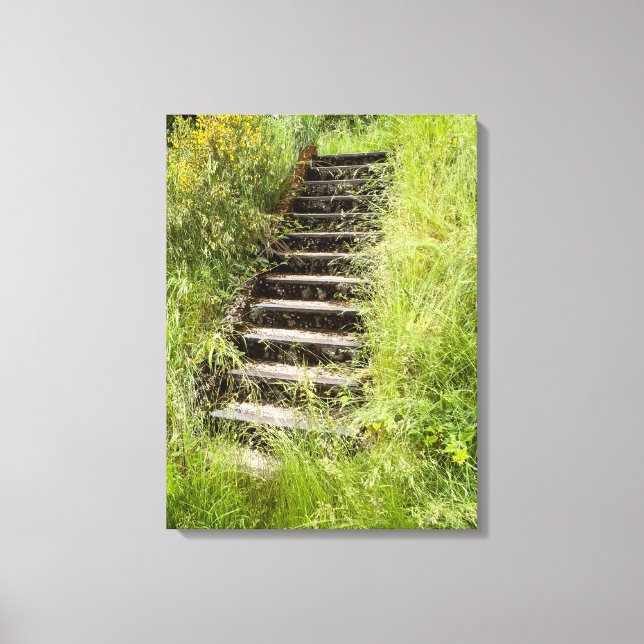 A stairway in the grass canvas print (Front)