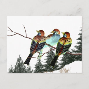 A Star is Born Postcard