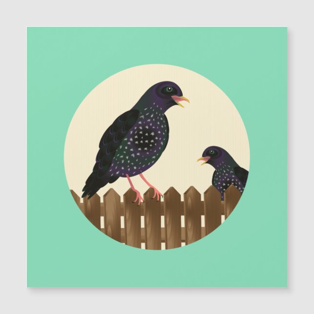 A starling a common garden bird sat on a fence (Front)