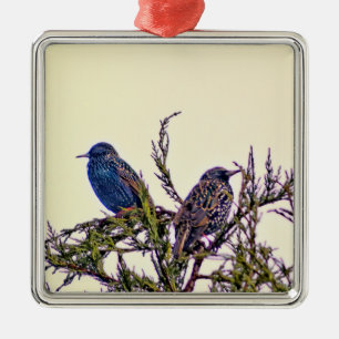 A Starling Bird Couple Metal Tree Decoration