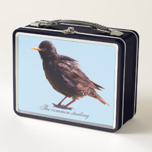 A starling metal lunch box