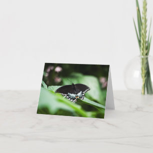 A Stately Appearance Card