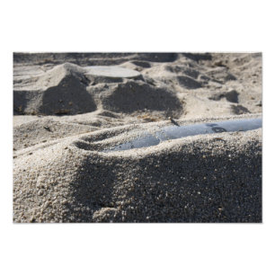 A static display of an ordnance shell photo print