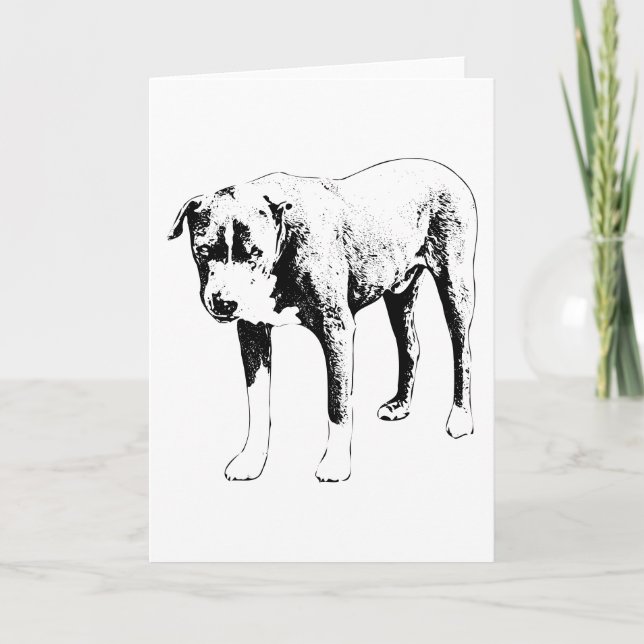 A Steady Gaze, Warm Wishes Card (Front)