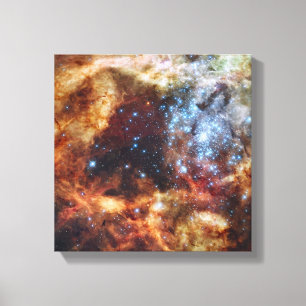 A stellar nursery known as R136 Canvas Print