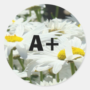 A+ Stickers Students Grade Teachers School Daisy