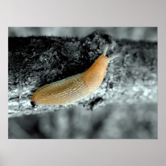 A Sticky Situation Poster