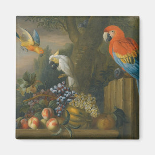 A Still Life With Fruit, Parrots And a Cockatoo Magnet