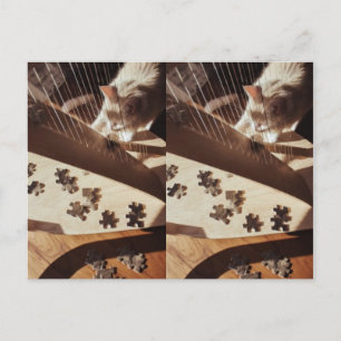 A Still Moment in Sunlight Postcard