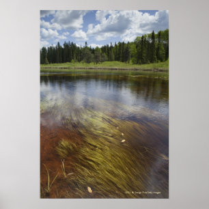 A Still Pond Reflecting The Clouds Poster