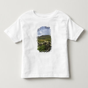 A Stone Fence Through Fields Toddler T-Shirt
