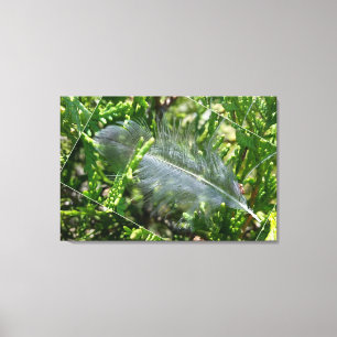 A stray feather canvas print