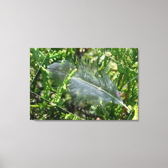A stray feather canvas print (Front)