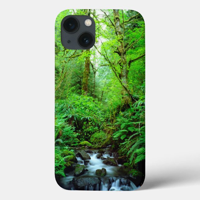 A stream in an old-growth forest Case-Mate iPhone case (Back)