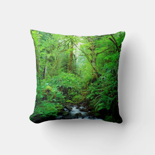 A stream in an old-growth forest cushion (Front)