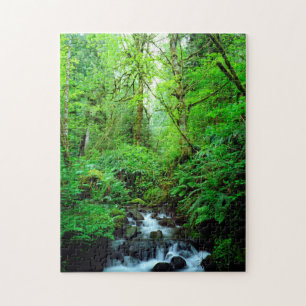 A stream in an old-growth forest jigsaw puzzle