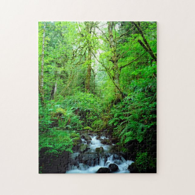 A stream in an old-growth forest jigsaw puzzle (Vertical)