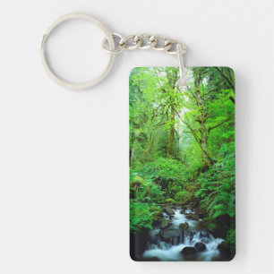 A stream in an old-growth forest key ring