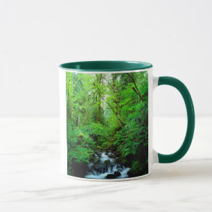 A stream in an old-growth forest mug